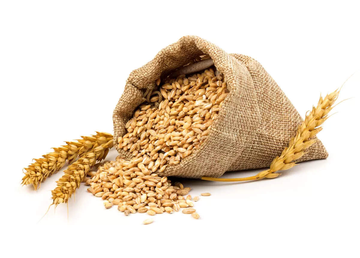 wheat